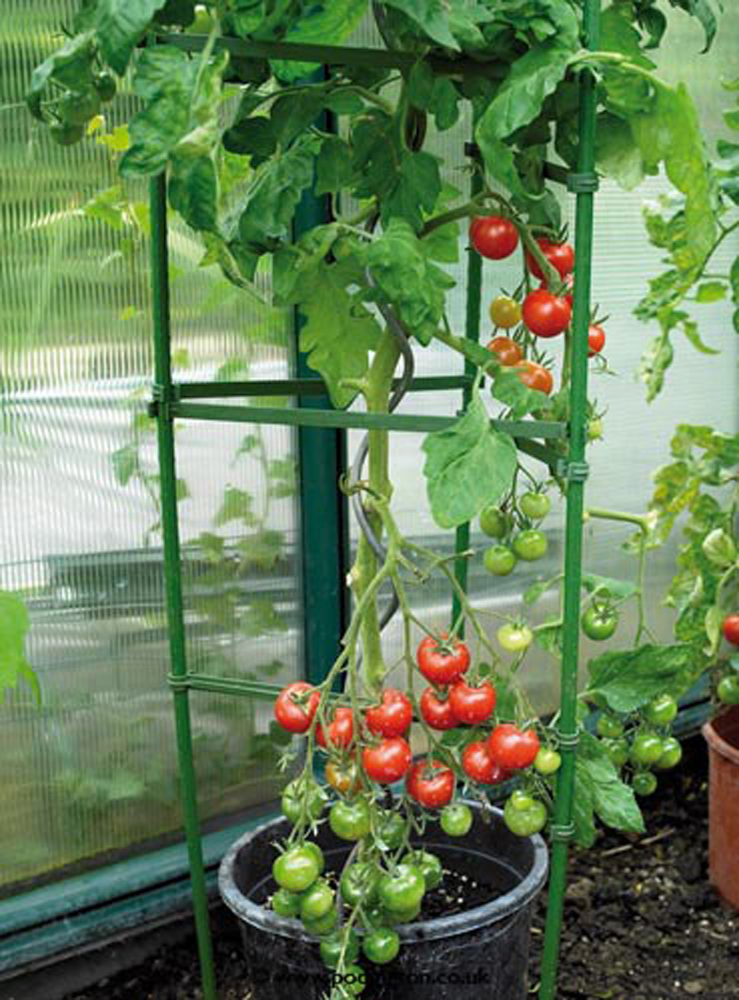 Gardman Tomato Cage Plant Support x 9 Plant Support Trellis