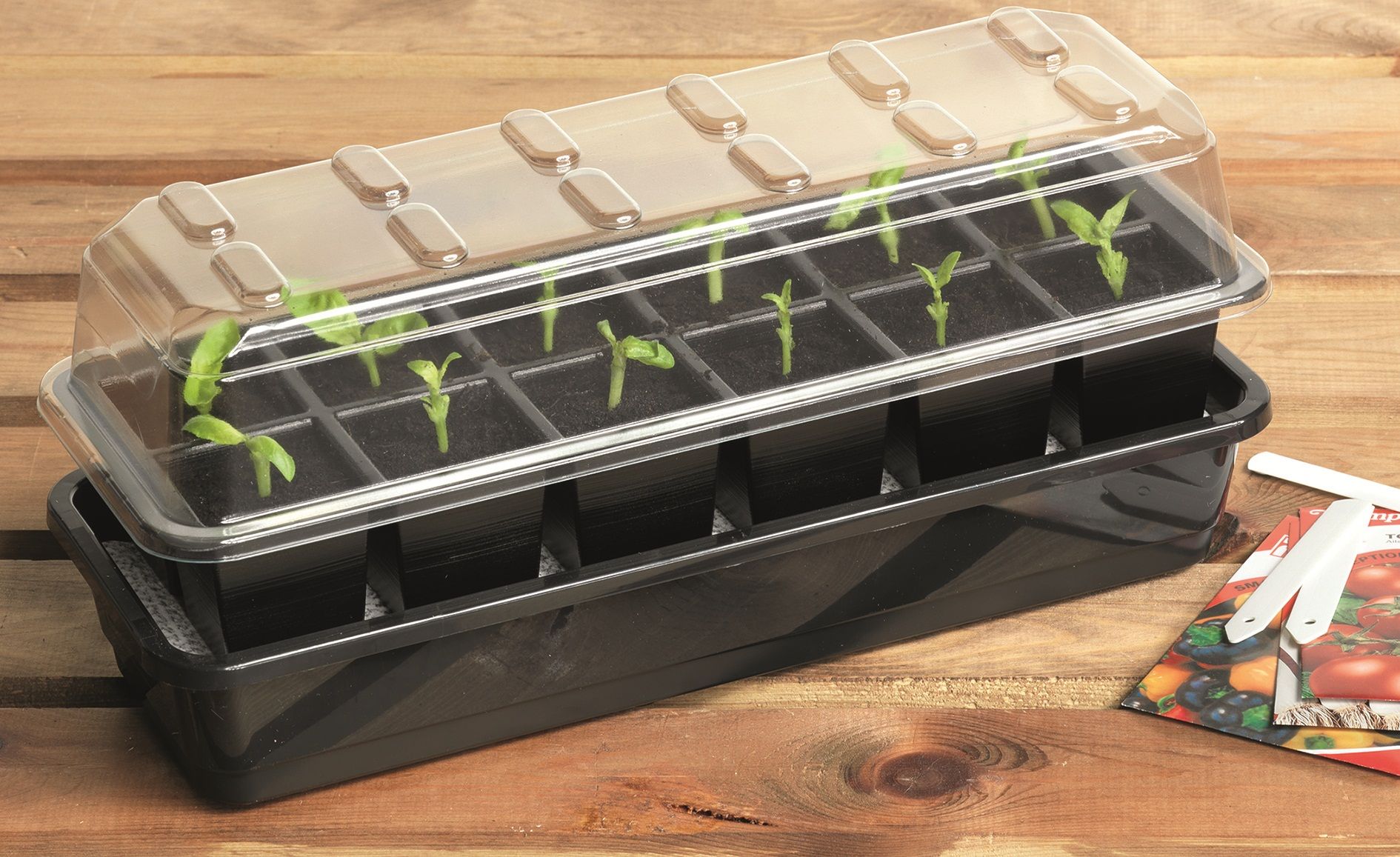 12 Cell Self Watering Seed Success Kit - Garden Trays